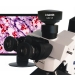 CCD Microscope Camera - Result of sony