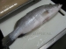 image of Frozen Food - Barramundi Fish