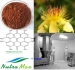 St. Johns Wort Extract  (sally@nutra-max.com) - Result of Fenoxaprop-p-ethyl 7%EW