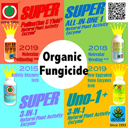 Fungicide Organic
