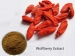 Wolfberry Extract - Result of Colostrum Dietary Supplement