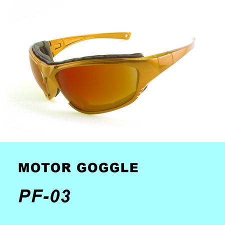 Tinted Riding Goggles