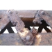 Cathodic Corrosion Protection - Result of showroom interiors
