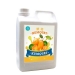 Kumquat Syrup - Result of orange juice concentrate